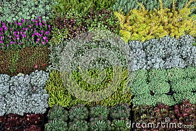 Flowers exposed on Floraart, 52 international garden exhibition on lake Bundek in Zagreb Stock Photo