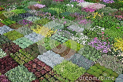 Flowers exposed on Floraart, 52 international garden exhibition on lake Bundek in Zagreb Stock Photo