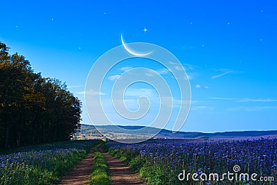 Crescent moon with beautiful sunset background Stock Photo