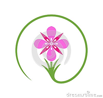 Flowers of fireweed. Rosebay willowherb. Chamaenerion angustifolium logo. Isolated fireweed on white background Vector Illustration