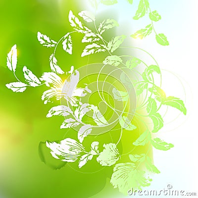 Flowers Vector Illustration