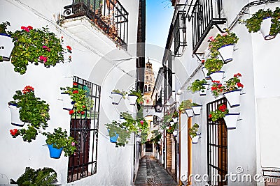 Flowers flowerpot on the walls on streets of Cordoba. Spain Stock Photo