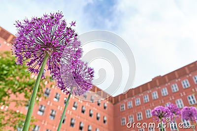 Flowers on foreground and BICOCCA UNIVERSITY - MILAN - modern buildings - Milan - Lombardy - ITALY Stock Photo