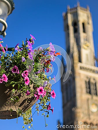 Flowers in front of the Belfry of Bruges on a sunny day in summer Stock Photo