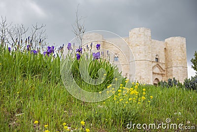 Flowers In Front Of Famous Fortress Castel Del Monte In Puglia, Italy Stock Photo