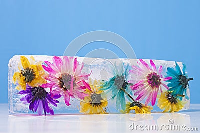 Flowers Frozen in Ice Block Stock Photo