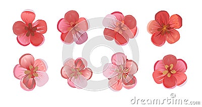 Flowers of fruit orchard trees: cherries, plums, apricots, peaches, pears, apple trees. Set of 6 flowers. Red and pink. Isolated v Vector Illustration