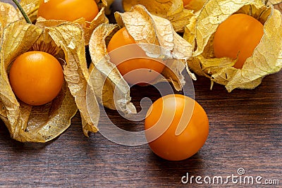 Flowers and fruits of Fisalis Physalis peruviana. Stock Photo