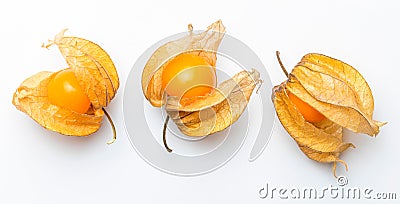 Flowers and fruits of Fisalis Physalis peruviana Stock Photo