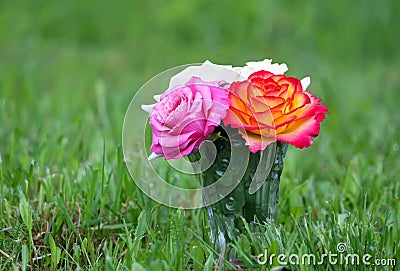 Flowers give inspiration Stock Photo