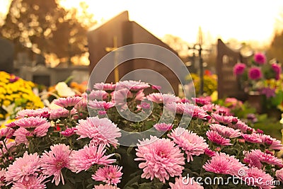 Flowers on a grave at cemetery Stock Photo