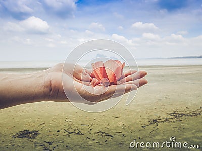 Flowers on hand The sea is blue and the beach is beautiful. Stock Photo