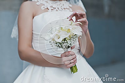 Flowers in hands of the girl 2368. Stock Photo