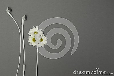 Flowers and headphones, place for text Stock Photo