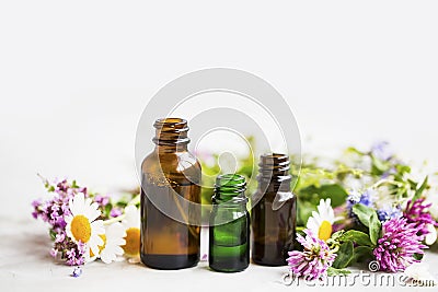 Flowers and herbs essential oil bottles, natural aromatherapy wi Stock Photo