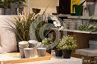 Flowers and home decore in store Stock Photo