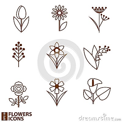 Flowers icons Vector Illustration