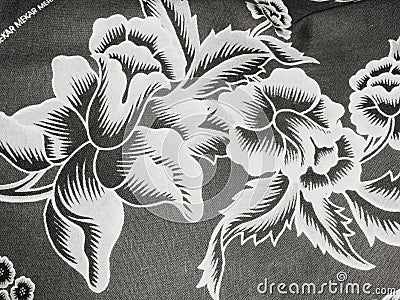 Flowers ilustration in black and white Stock Photo