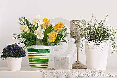 Flowers and indoor plants on white wall background Stock Photo