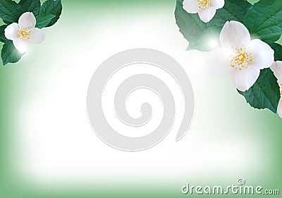 Flowers jasmine. Elegant background for greeting card or wedding invitation template. Vector Vector Illustration