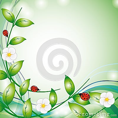 Flowers and ladybirds Vector Illustration