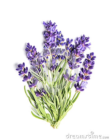 Flowers lavender bundle white background Stock Photo