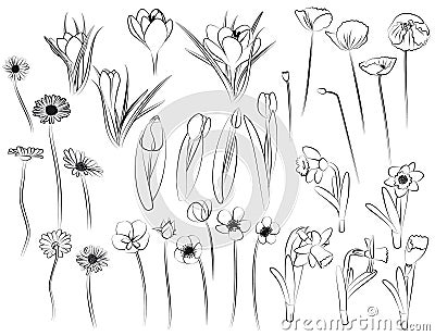 Flowers - line art Stock Photo