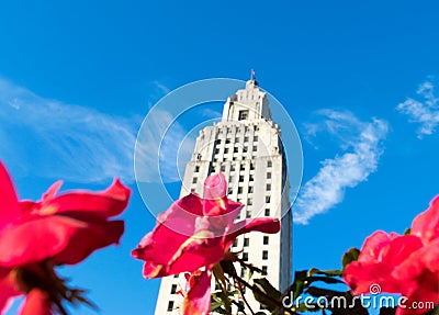 Flowers at the Louisiana State Capitol Building park Stock Photo