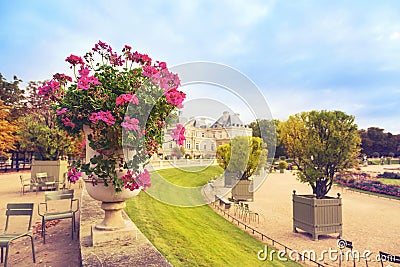 Flowers in Luxembourg Gardens, Paris, France Stock Photo