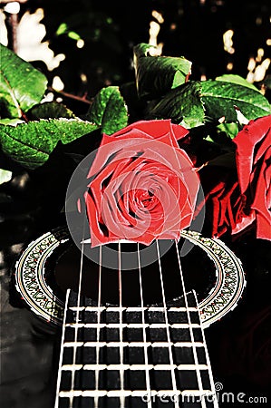 Flowers and musical notes, symbols Stock Photo