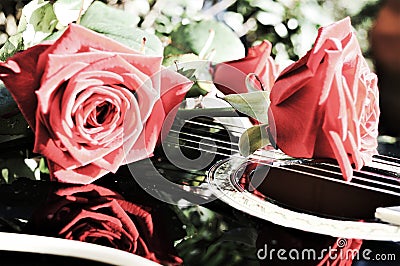 Flowers and musical notes symbols Stock Photo