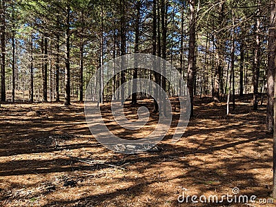 Nordhouse Dunes Wilderness Stock Photo