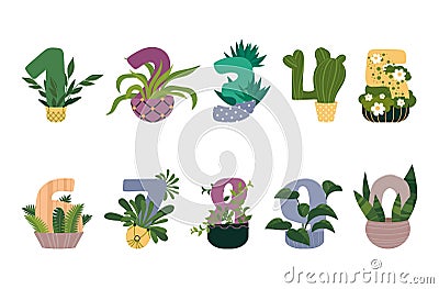 Flowers numbers set vector flat illustration. Botanical tropical counting houseplants in pots Vector Illustration