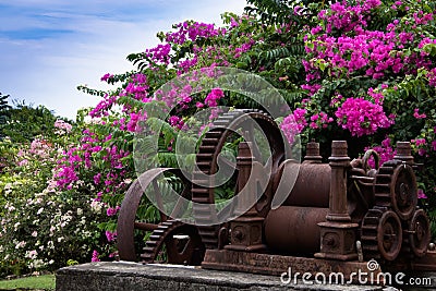 Flowers and old rum estate machinery, Grenada Editorial Stock Photo