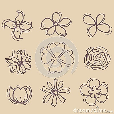 Flowers painted line on a brown Vintage background. Vector dra Vector Illustration