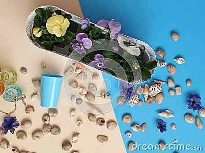 Sea Stones shells Flowers wreath, garland, crown, chaplet, coronet, circlet of flowers ring blue beach background abstract greeti Stock Photo