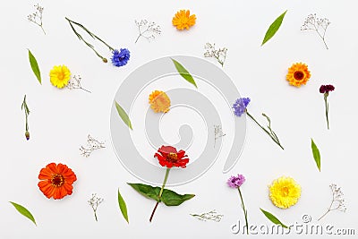 Flowers pattern on white background. Top view, flat lay Stock Photo