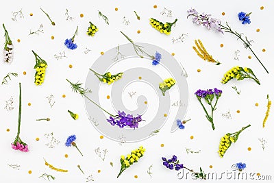 Flowers pattern on white background. Top view, flat lay Stock Photo