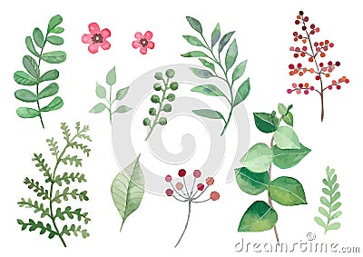 Flowers and plants set watercolour vectors leaves and branches Vector Illustration