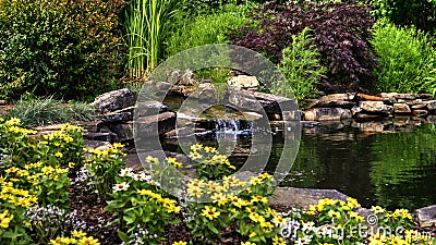 Flowers and Pond Stock Photo