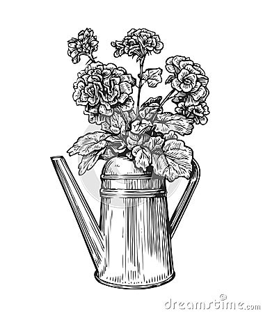 Flowers in a pot. Bouquet and watering can in sketch style. Gardening vintage vector illustration Vector Illustration