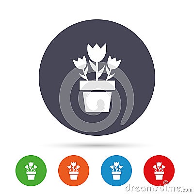 Flowers in pot sign icon. Bouquet of roses. Vector Illustration