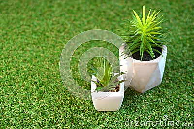 Flowers in pots on a green artificial grass, copy space. Greenering concept background. Stock Photo