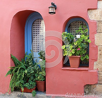 Flowers in pots at home Stock Photo