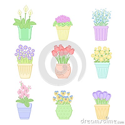 Flowers in pots. Vector Illustration