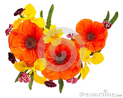Flowers red poppies and yellow iris and pink carnations Stock Photo