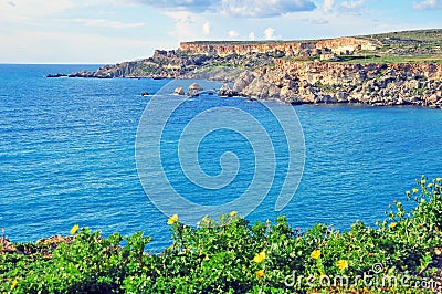 Flowers, rocks and sea Stock Photo