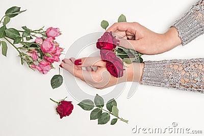 Flowers roses in hands of woman, top view, little red and pink roses on white background Stock Photo