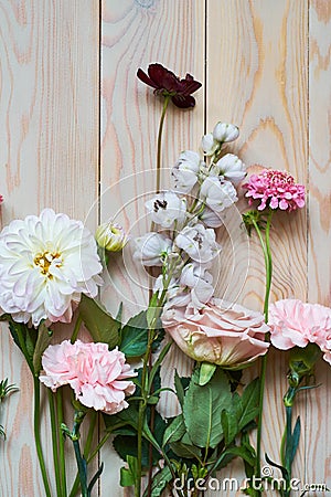 young flowers on rustic wooden boards background flat lay top view Stock Photo