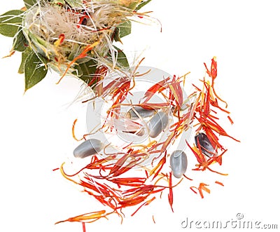 Flowers with safflower seeds on a white background Stock Photo